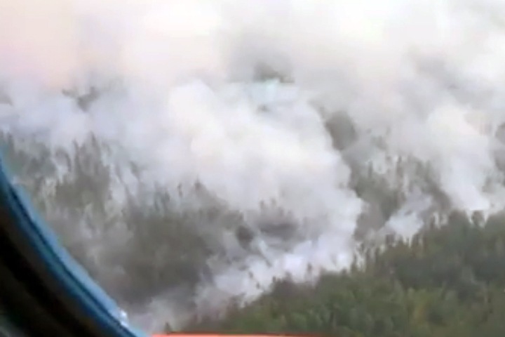 Более 1,4 млн га леса не тушат в Сибири Более 1,4 млн га леса не тушат в Сибири