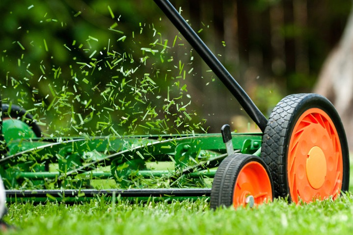 Как выбрать газонокосилку