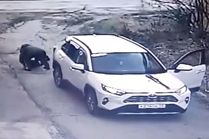 Суд отменил решение о прекращении дела новосибирского депутата от «ЕР», переехавшего ребенка Суд отменил решение о прекращении дела новосибирского депутата от «ЕР», переехавшего ребенка