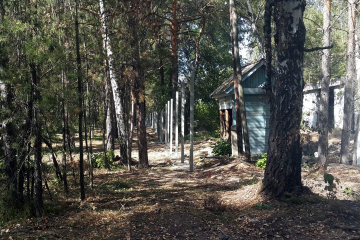 Мэр Новосибирска запретил строительство в зеленых зонах