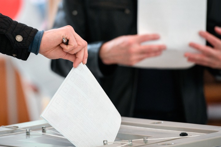 Собрано около трети средств на независимый соцопрос о выборах мэра Новосибирска