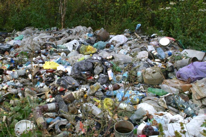 Правительство перевело землю под дорогу к новому полигону ТБО в Раздольном