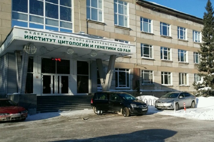 СО РАН пообещало «внести коррективы» в предложения Минобрнауки после жалоб на зарплату новосибирских ученых