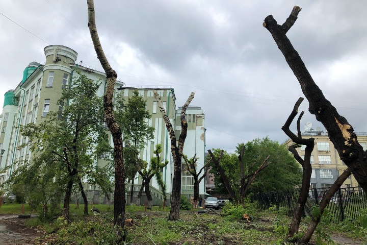 Часть сквера в центре Новосибирска отдали под застройку. Там пилят деревья, а у Росреестра нет никаких данных