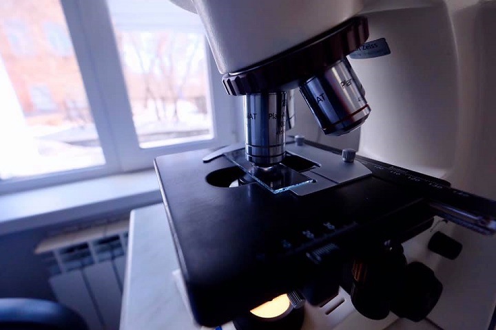 Власти рассказали о 25 новых случаях коронавируса в Красноярске