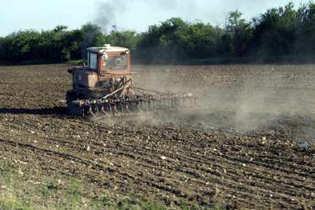 Новосибирская посевная обойдется в 1,5 млрд рублей