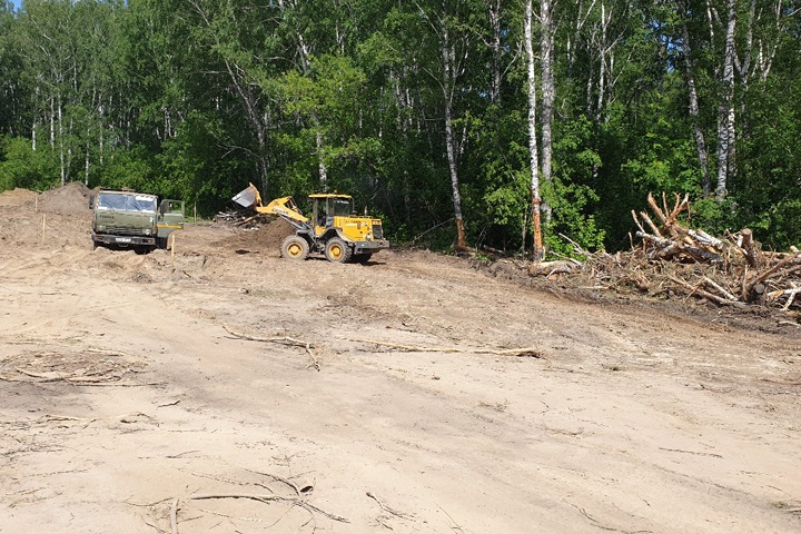 Участок леса вырубили в Новосибирске под автодром Участок леса вырубили в Новосибирске под автодром