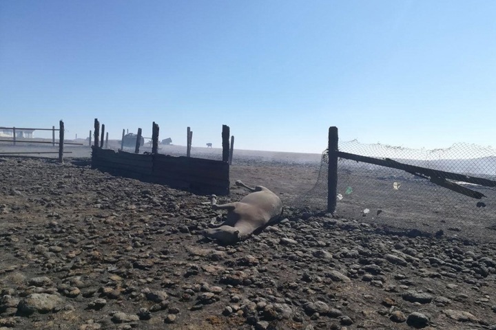 Скончался один из пострадавших в результате природных пожаров в Забайкалье