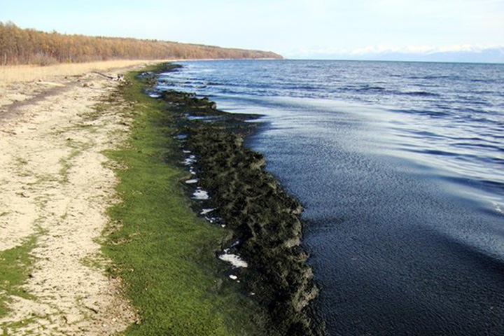 Бурятия попросит правительство России запретить фосфатные порошки Бурятия попросит правительство России запретить фосфатные порошки