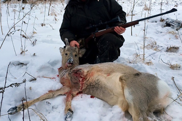 Новосибирский суд прекратил дело о незаконной охоте, с которой связывали сына крупного чиновника