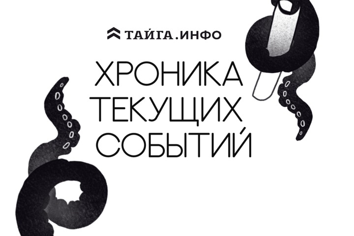 Хроника текущих событий. Экономика, общество, политика. Выпуск 207