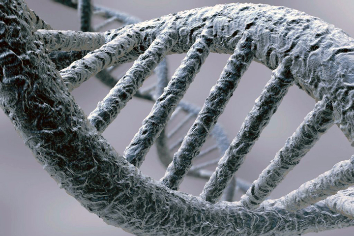 Томские ученые нашли гены, отвечающие за умственную отсталость детей