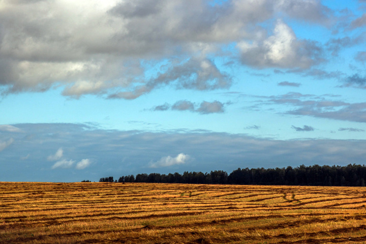 Красноярские ученые изобрели наночастицы для ускоренного роста зерновых Красноярские ученые изобрели наночастицы для ускоренного роста зерновых