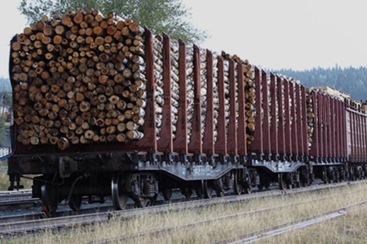 Братскую пенсионерку отправили в колонию за контрабанду леса в Китай Братскую пенсионерку отправили в колонию за контрабанду леса в Китай