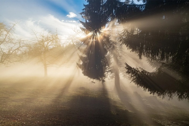 Потепление до +15 ожидается в Новосибирской области Потепление до +15 ожидается в Новосибирской области