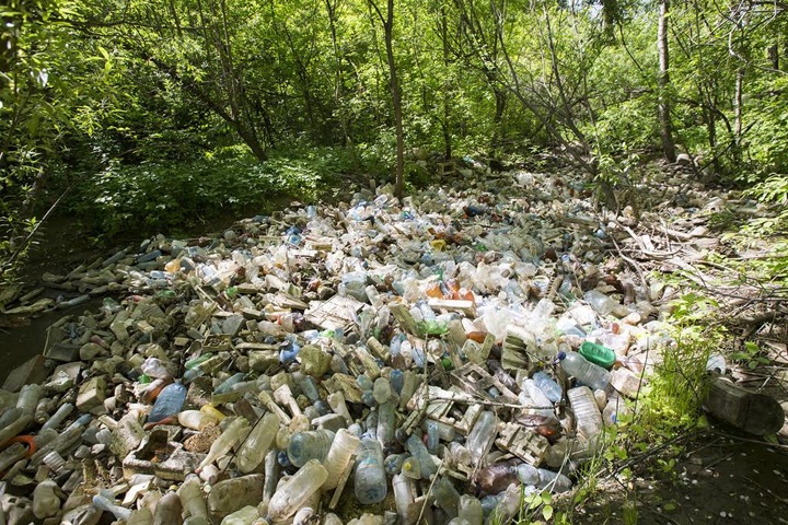 Движение по раздельному сбору мусора набирает популярность в Новосибирске Движение по раздельному сбору мусора набирает популярность в Новосибирске
