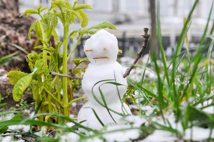 Теплая погода без осадков ожидается в Новосибирской области Теплая погода без осадков ожидается в Новосибирской области