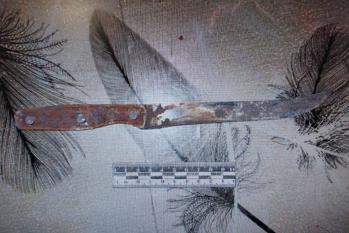 14-летний подросток из Красноярска зарезал отчима, защищая мать