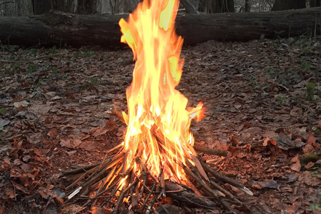 Уголовное дело завели на читинца за костер в лесу Минобороны Уголовное дело завели на читинца за костер в лесу Минобороны