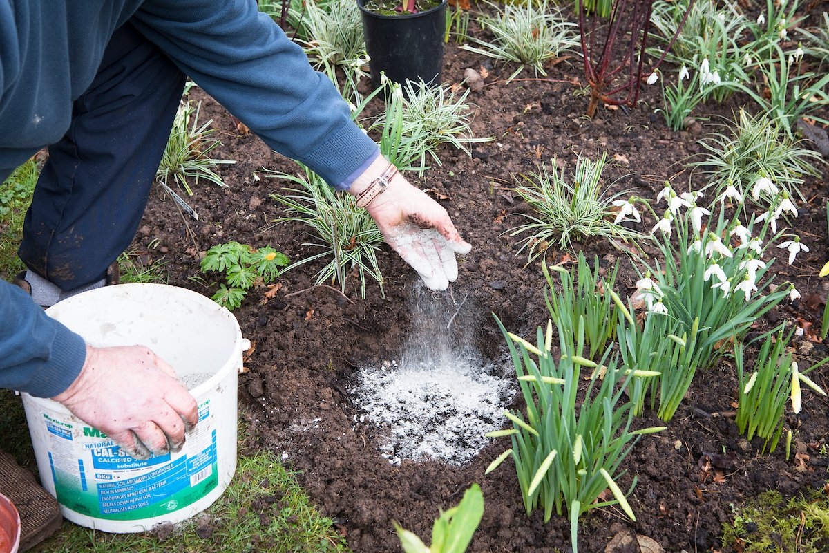 Удобрение почвы