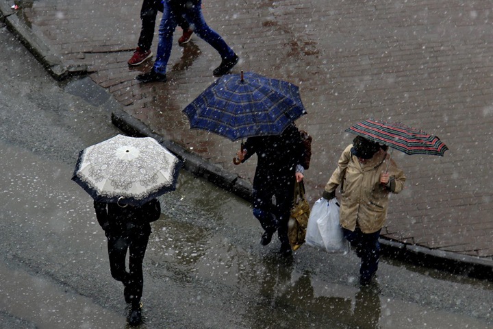 Май стал самым холодным за всю историю наблюдений в Новосибирской области