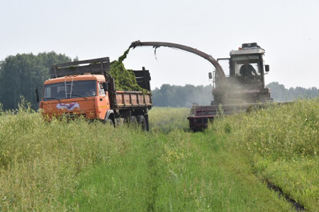 Уборочная кампания началась во всех районах Новосибирской области