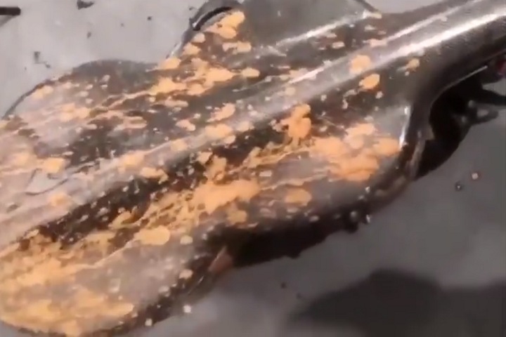 Филармонию затопило в Новосибирске