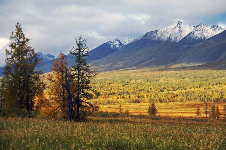 Siberia is on fire. This week in science Siberia is on fire. This week in science