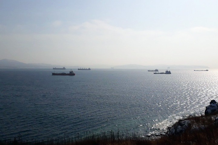 «СДС» построит в Приморье угольный терминал закрытого типа «СДС» построит в Приморье угольный терминал закрытого типа