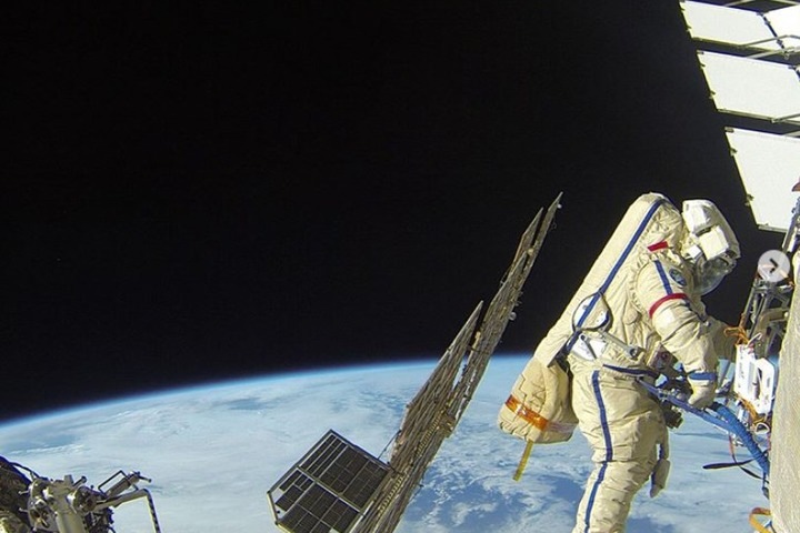 Космонавт рассказал, сколько лесов осталось в Сибири после рубок и пожаров Космонавт рассказал, сколько лесов осталось в Сибири после рубок и пожаров