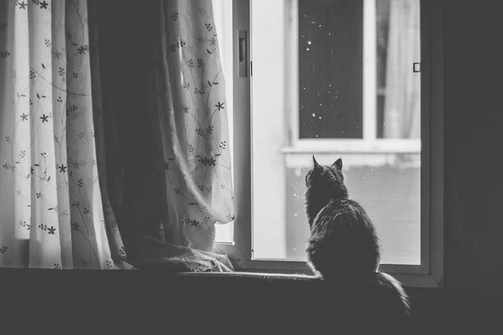 Пятилетняя девочка выпала из окна в Новосибирске Пятилетняя девочка выпала из окна в Новосибирске