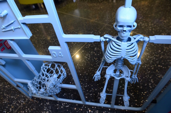 Выставка о революционных изобретениях немецких ученых откроется в Новосибирске