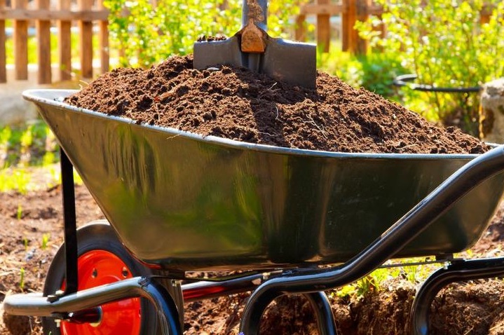 Микробиологические удобрения: экологичный урожай