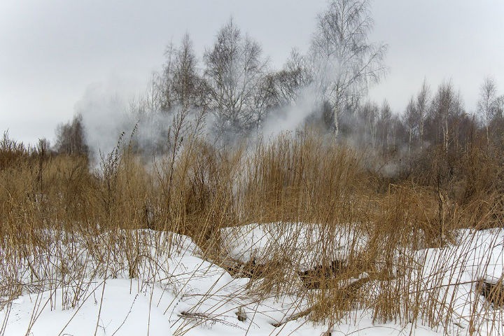 Первый лесной пожар 2018 года зафиксирован в Забайкалье Первый лесной пожар 2018 года зафиксирован в Забайкалье