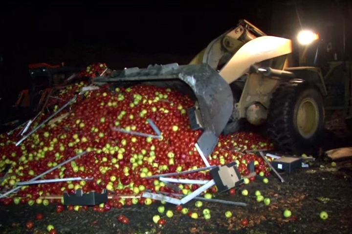 Почти 9 тонн санкционных продуктов уничтожено в Сибири