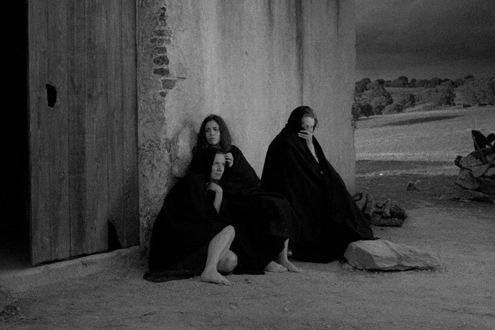 Фестиваль португальского кино в Новосибирске: гнев крестьян и джентрификация Фестиваль португальского кино в Новосибирске: гнев крестьян и джентрификация