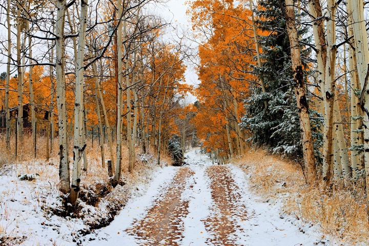 Снег и похолодание ожидаются в Новосибирской области на выходных Снег и похолодание ожидаются в Новосибирской области на выходных