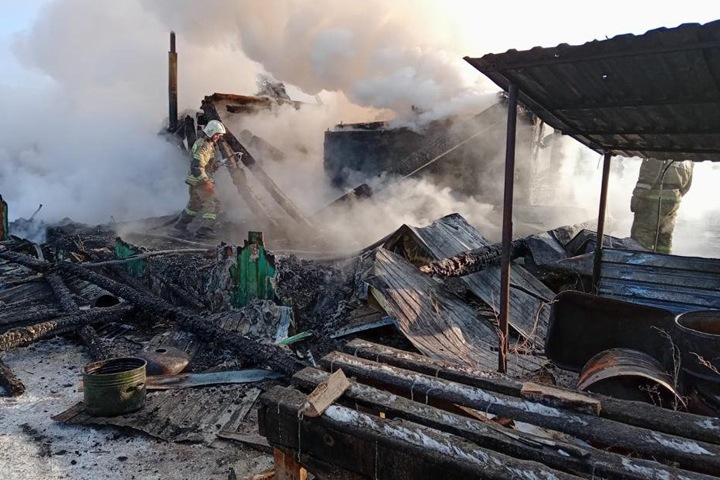 Мужчины погибли при пожаре под Новосибирском Мужчины погибли при пожаре под Новосибирском