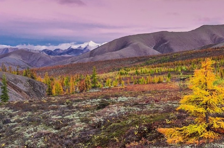 Тайга и тундра. Удивительные природные зоны