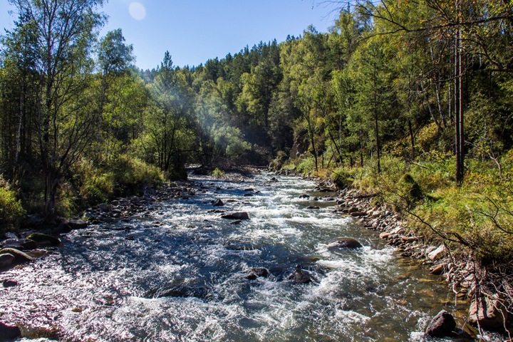 Китайцы просят перебросить им воду с Алтая Китайцы просят перебросить им воду с Алтая