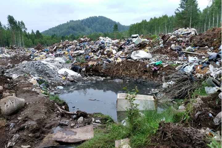 Мусорный клондайк. Жители борются со свалкой на берегу Телецкого озера Мусорный клондайк. Жители борются со свалкой на берегу Телецкого озера