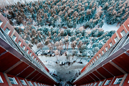 Директор Заельцовского парка получил взятку за организацию в 2009 году мусорной свалки — СК РФ