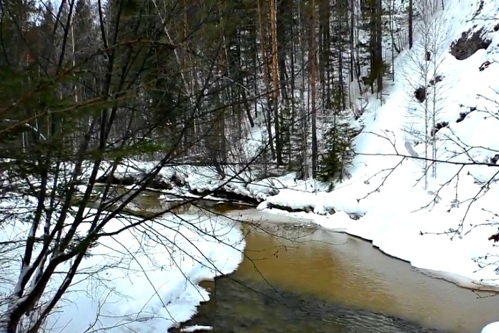 Золотодобытчика в Кузбассе уличили в сбросе загрязненных стоков около реки Золотодобытчика в Кузбассе уличили в сбросе загрязненных стоков около реки