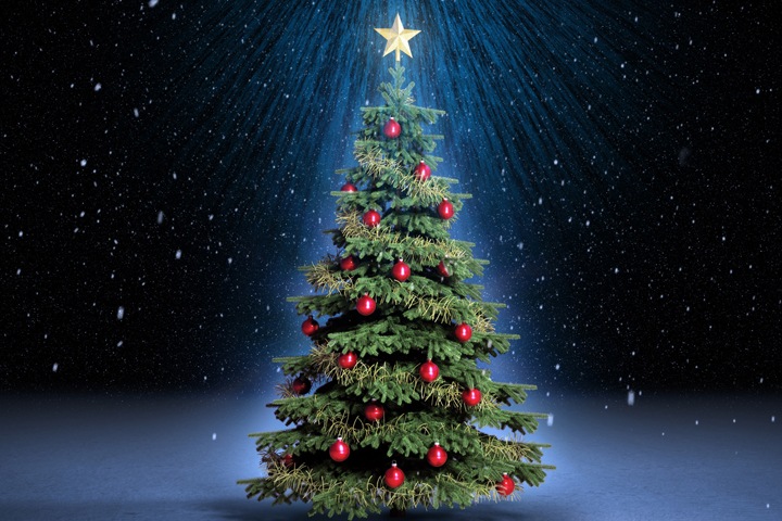 Замглавы отдела новосибирской полиции пойдет под суд за взятку новогодней елкой