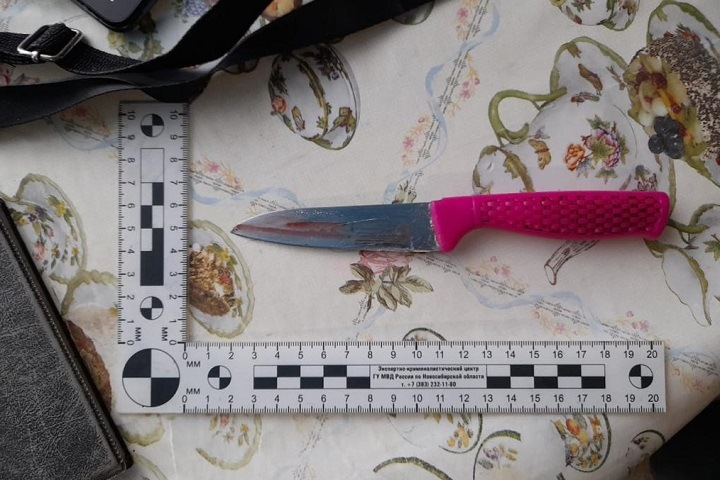 Женщина зарезала сожителя во время пьяной ссоры в Новосибирской области