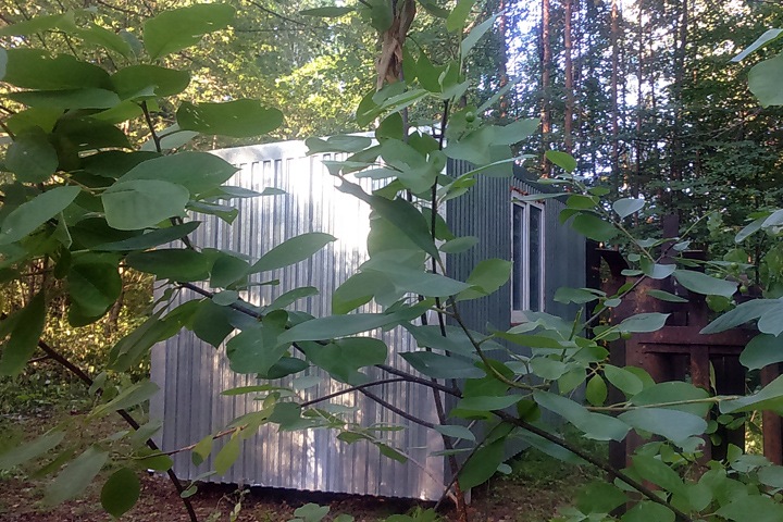 Аукцион в 1000 шагов: сколько могла заработать семья начальника полиции Бердска на махинациях с землей