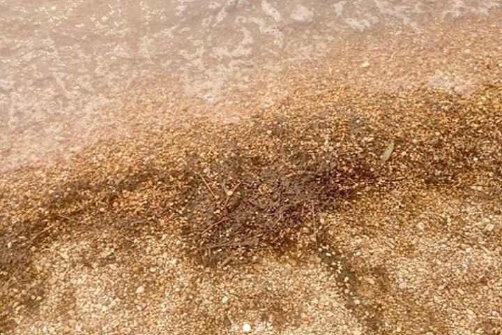 Темные пятна обнаружены на Байкале. Это могут быть следы природных пожаров Темные пятна обнаружены на Байкале. Это могут быть следы природных пожаров