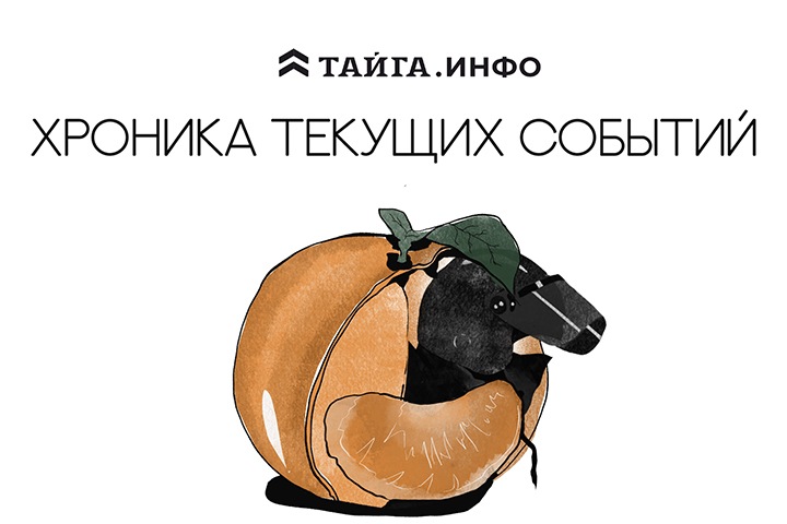 Хроника текущих событий. Экономика, общество, политика. Выпуск 282