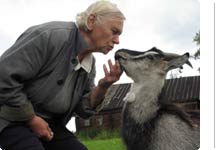 Фото: Андрей Кобылко