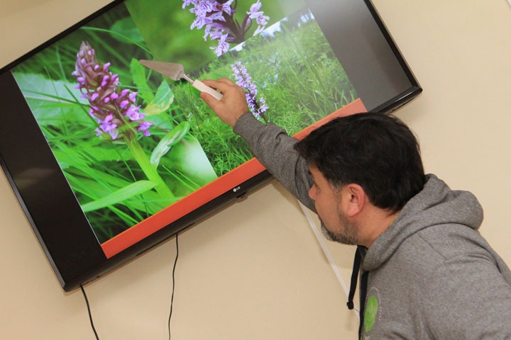 «Регион не выделяет денег на сбор данных»: эколог рассказал о недостатках новой Красной книги Новосибирской области «Регион не выделяет денег на сбор данных»: эколог рассказал о недостатках новой Красной книги Новосибирской области